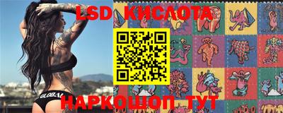 МДПВ Новозыбков