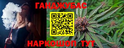 МДПВ Новозыбков