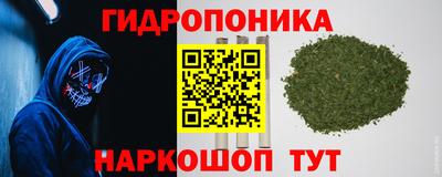 МДПВ Новозыбков