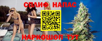 apvp Новодвинск