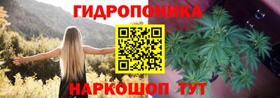 МДПВ Новозыбков