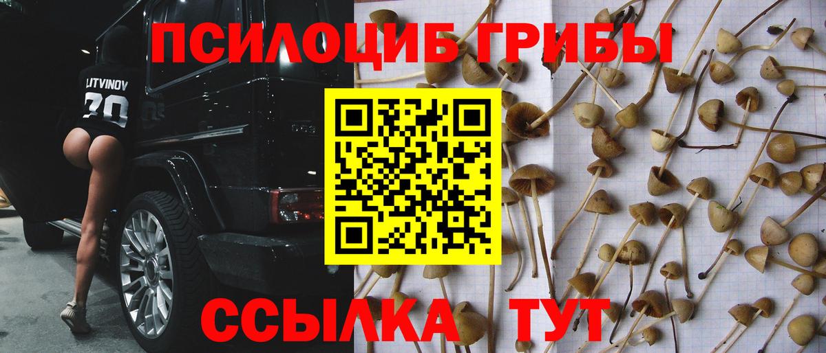Сосновоборск  где купить наркоту  Вход с VPN  Галлюциногенные грибы Psilocybine cubensis 